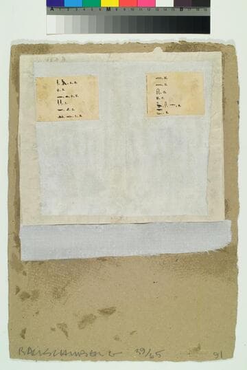 Shirtboard, Morocco, Italy '52