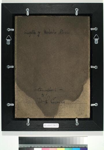 Sculpture of Medardo Rosso: Metamorphosis