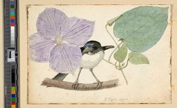 Sketchbook [p. 10], verso