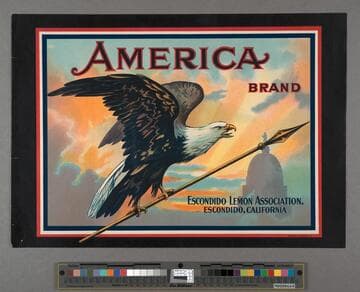 America Brand