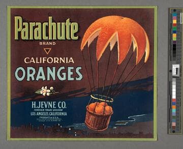 Parachute Brand