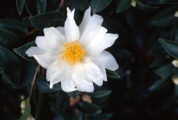 Go to image 8.