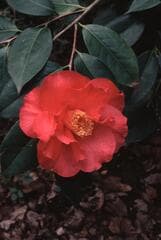 Go to image 3.