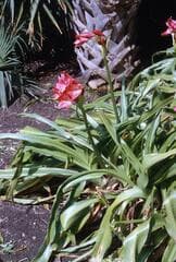 Go to image 15.