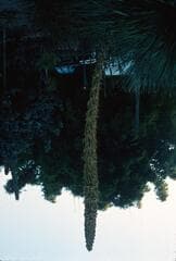 Go to image 8.