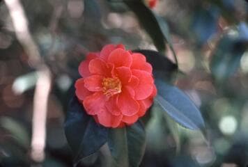 Go to image 3.