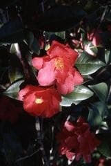 Go to image 4.