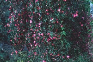 Go to image 2.