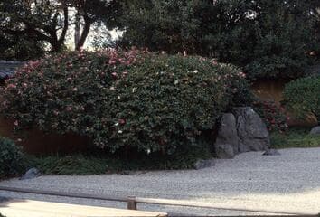Go to image 2.