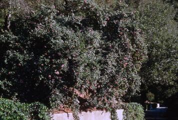 Go to image 12.