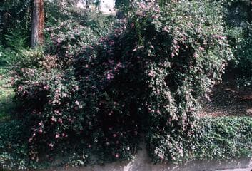 Go to image 18.