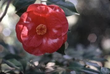 Go to image 2.