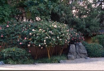 Go to image 6.