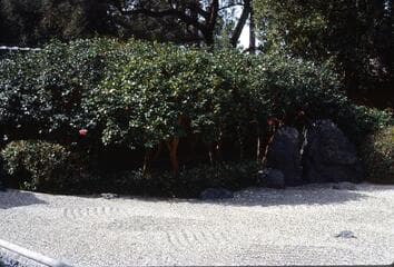Go to image 5.