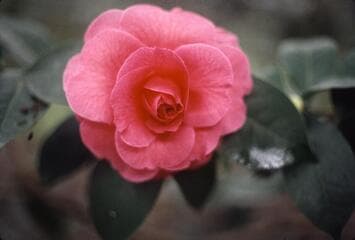 Go to image 2.