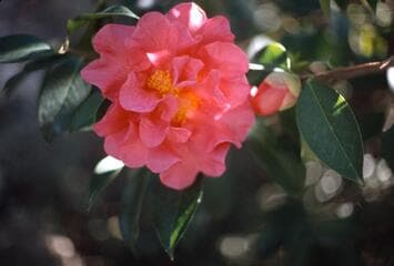 Go to image 6.