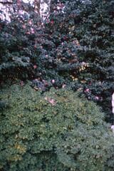 Go to image 2.