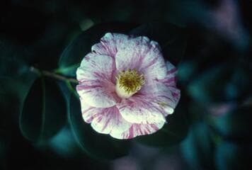 Go to image 7.