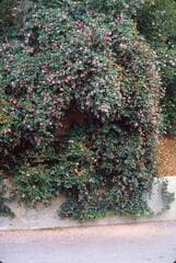 Go to image 6.