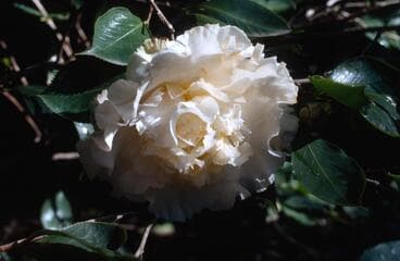 Go to image 4.