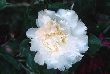 Go to image 5.