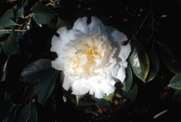 Go to image 3.