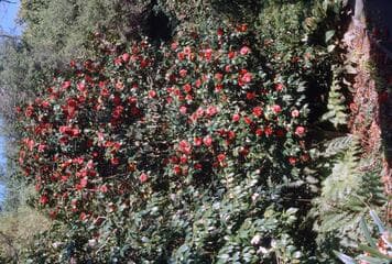 Go to image 8.