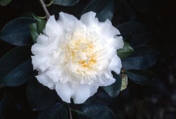 Go to image 2.