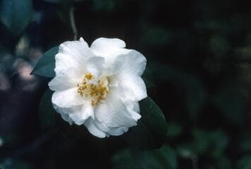 Go to image 2.
