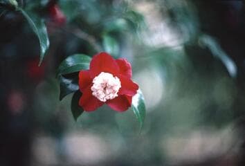 Go to image 6.