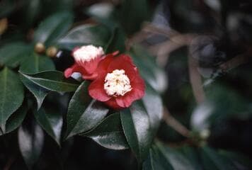 Go to image 4.