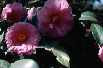 Go to image 6.