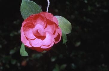 Go to image 2.