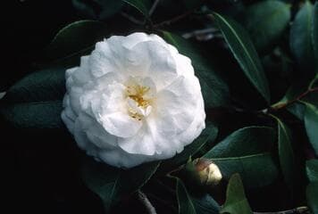 Go to image 2.