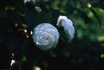 Go to image 3.