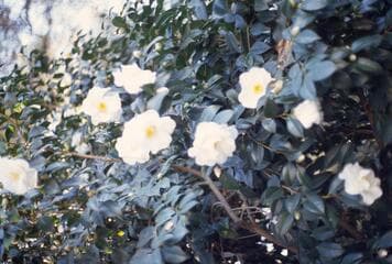 Go to image 10.