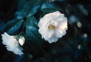 Go to image 7.