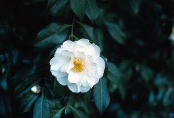 Go to image 6.