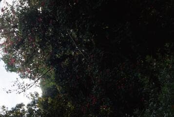 Go to image 16.