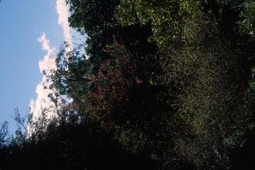Go to image 3.
