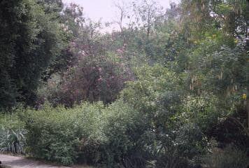 Go to image 5.