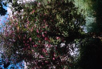 Go to image 12.