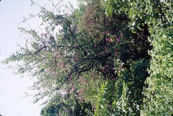 Go to image 27.