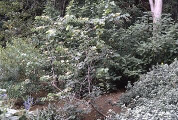 Go to image 3.