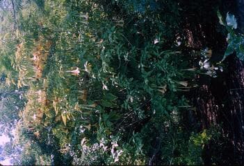 Go to image 6.