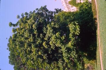 Go to image 13.