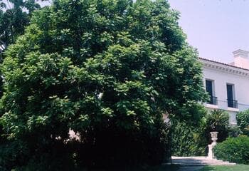 Go to image 26.