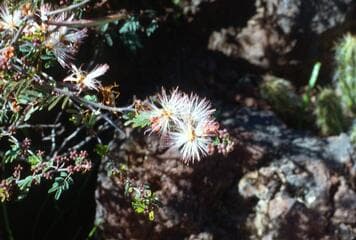 Go to image 15.