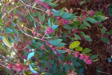 Go to image 8.