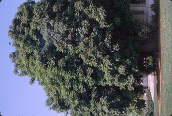 Go to image 6.